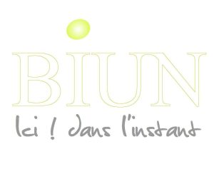 cropped-logo-biun.jpg